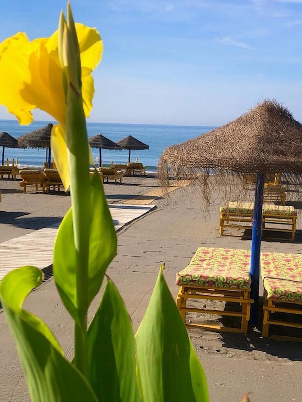 Spacious 1 Bedroom Apartment, Beach Front, Torrox Costa Luaran gambar